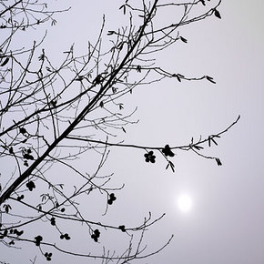 _1050990.jpg
