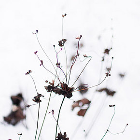 _1060047.jpg